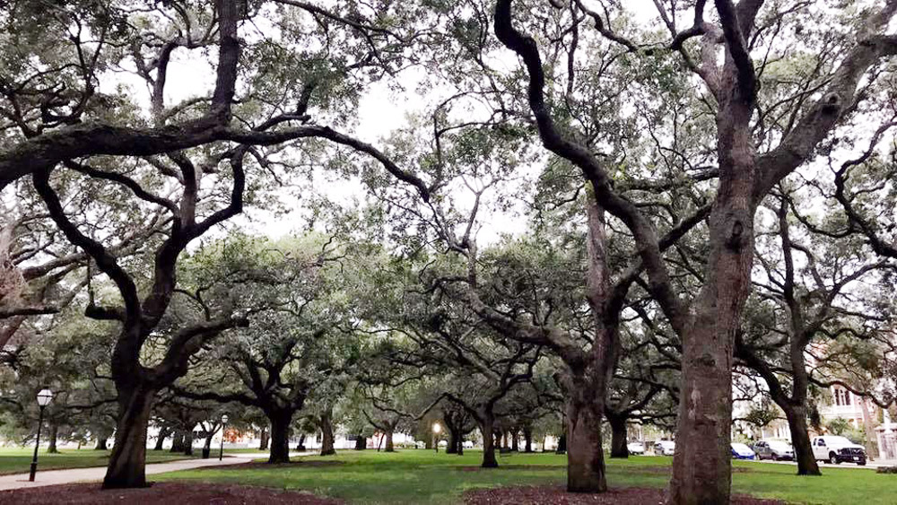 Charleston SC