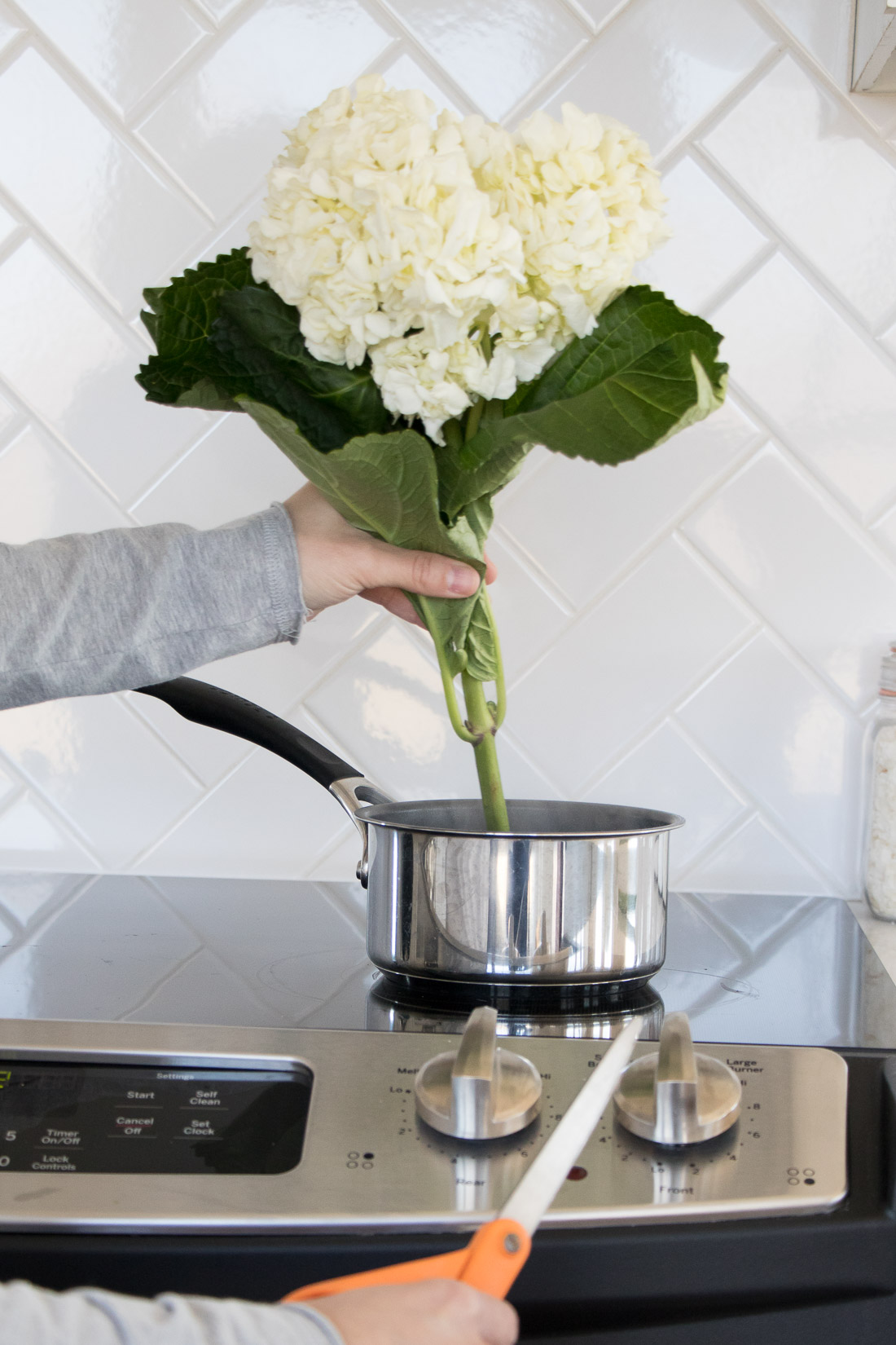 Boiling Hydrangea Stems to Perk Flowers Back Up 