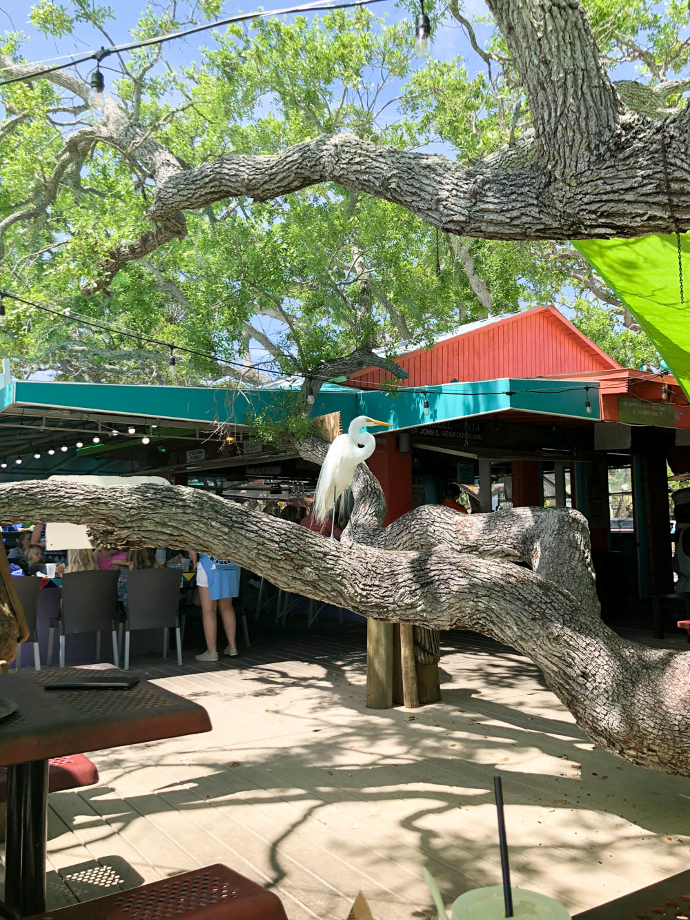 Hidden Treasure Restaurant - places to eat in Ponce Inlet
