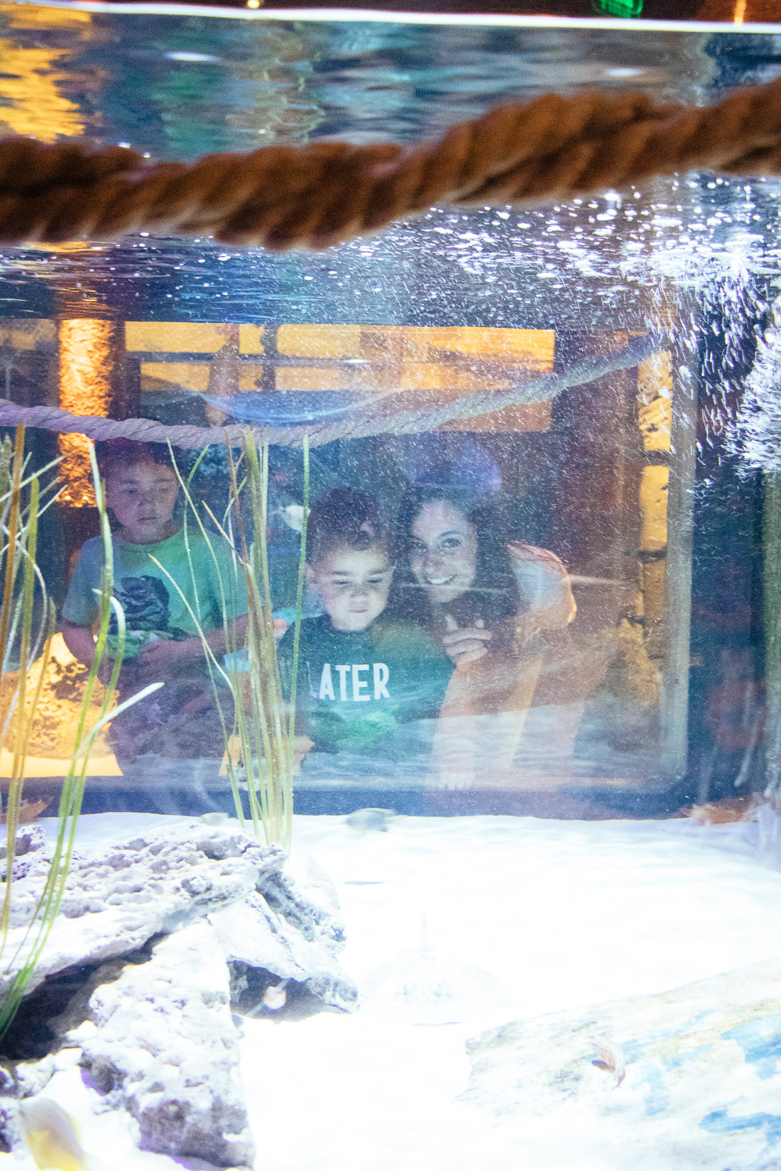 Aquarium at Concord Mills Mall