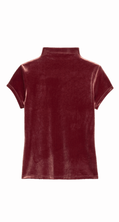 Banana Republic Factory velvet top