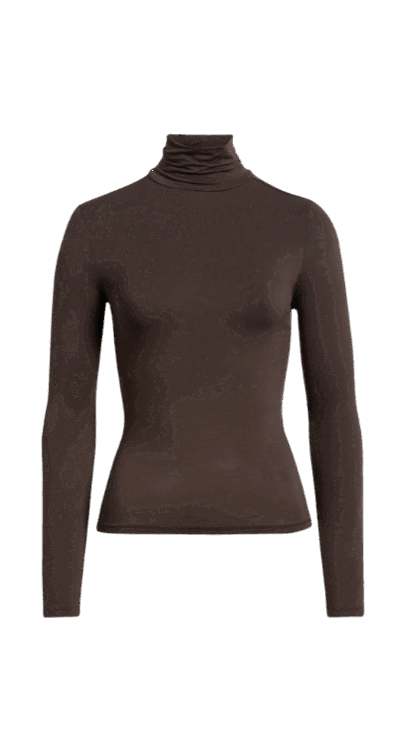 Nordstrom brown turtleneck