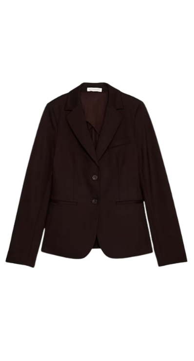 Banana Republic Factory Brown Blazer
