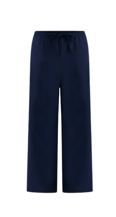 LOFT Sawyer pants navy for petites