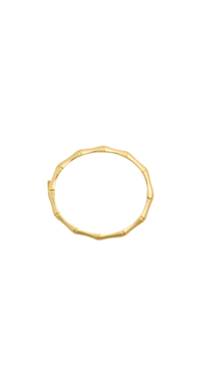 Gold bangle Tuckernuck jewelry