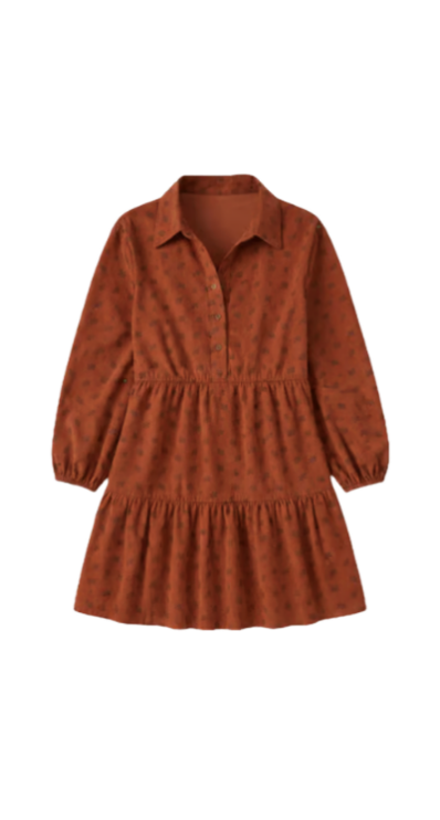Anthropologie mini shirt dress for petites
